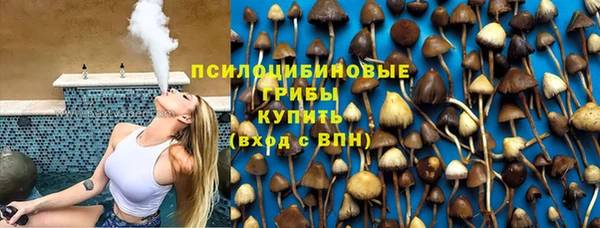 синтетический гашиш Алексин